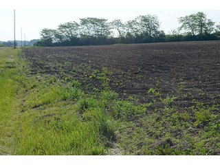 Property photo 40 - LAND AUCTION - 215+/- ACRES OFFERED IN 6 TRACTS IN VAN WERT COUNTY, OHIO
